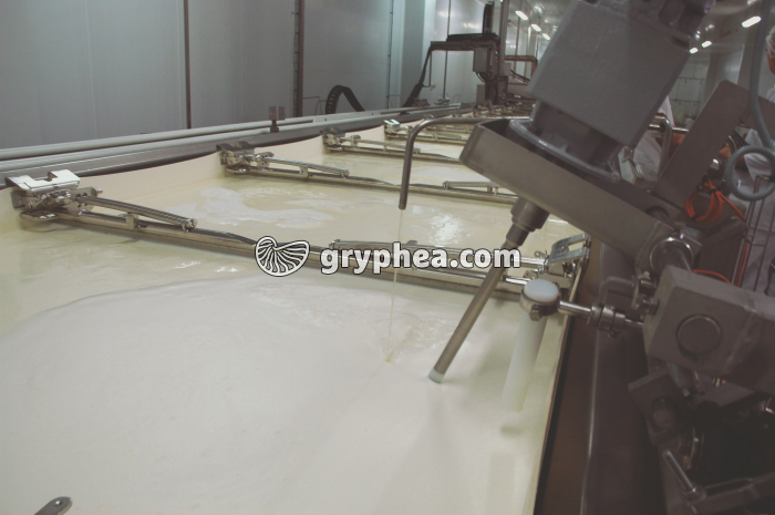 Fabrication du fromage - Adjonction de la présure pour accélérer le caillage du lait - gryphea.com